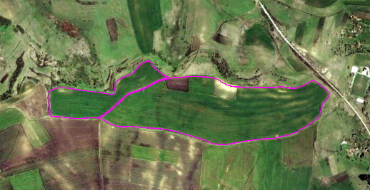 orthophoto